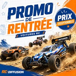 Voitures RC � prix exceptionnel