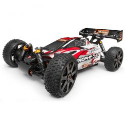 trophy buggy flux hpi