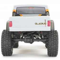 FTX Outback Gladius crawler 1/10 4WD moteur charbon FTX5479GY