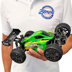 Jubatus Buggy RC &Eacute;lectrique 4WD 40 km/h RTR 1/14 carrosserie verte