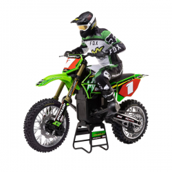 Losi Promoto-MX 1/4 RTR LOS06002