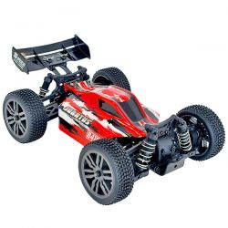 Pack Duo Buggy RC Bonzai Jubatus 4WD 40km/h