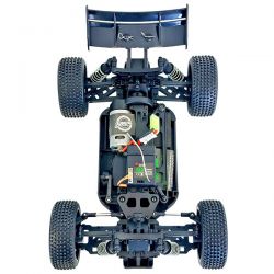 Pack Duo Buggy RC Bonzai Jubatus 4WD 40km/h