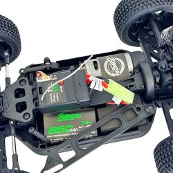 Pack Duo Buggy RC Bonzai Jubatus 4WD 40km/h