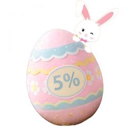 Remise de 5 pourcents 