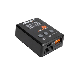 Spektrum chargeur intelligent USB-C S100 1x100w SPMXC2090PI